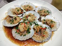 蒜蓉粉丝蒸扇贝-上味·小海小鲜(中联店)