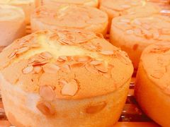 -Mnemosyne尼莫西妮(香港城店)