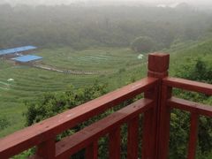 -南戴河国际娱乐中心