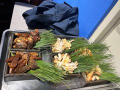 -木王宴语·野生鲜菌火锅(玉河店)