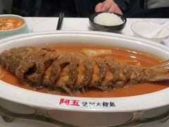 -阿五黄河大鲤鱼(海尚店)