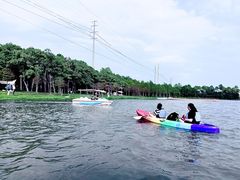 -上海海湾国家森林公园