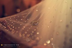 -香香造型
