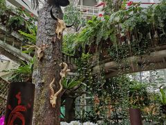 -正佳雨林生态植物园