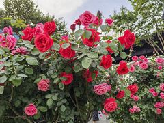 -雅达·阳羡溪山小镇中心