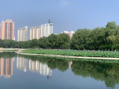 -莲花池公园