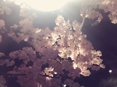 -蜜桃餐厅·江浙融合菜(荟聚购物中心店)