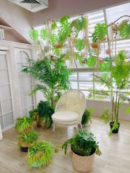 -芳妮豆丁家庭影像馆(宝安店)