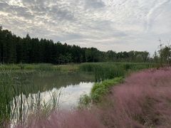 -昆山城市生态森林公园