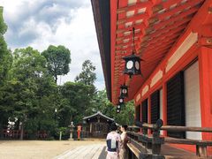 -有栖山 清光院 清水寺
