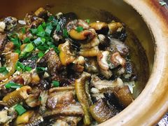 -红星光发煲仔饭(大石街店)