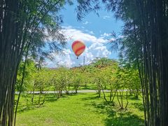 -中国科学院西双版纳热带植物园