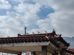 -云南民族村