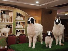 -红色江山(首钢国际大厦店)