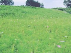 -长春世界雕塑园冰雪艺术天地