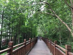 -溱湖国家湿地公园