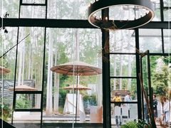 -桉树林A coffee 森林餐厅(三圣乡店)
