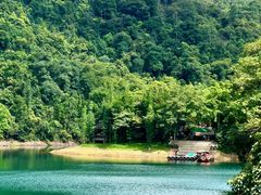 -鼎湖山风景区