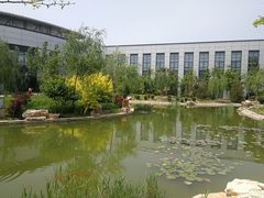 -北京国家会计学院