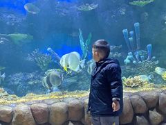 -华夏文旅海洋公园