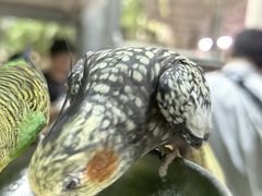 -正佳雨林生态植物园
