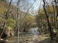 -玉渡山自然风景区