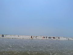 -日照海滨国家森林公园
