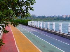 -贡湖湾湿地公园