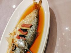 火焖鲥鱼-金时代顺风大酒店(金山店)
