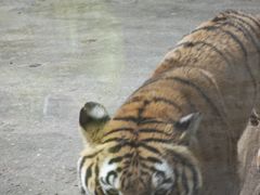 -杭州野生动物世界