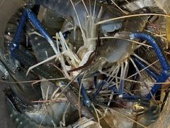 -DGE季风钓虾营地·团建·聚会