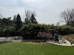 -红螺寺