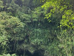 -海口火山口国家地质公园