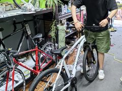 -道路口单车爱瓦士dahon大行