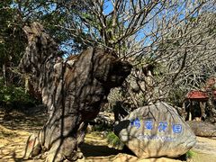 -云南勐巴娜西珍奇园