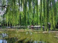 -玲珑塔公园