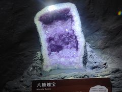-正佳自然科学博物馆