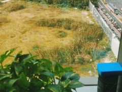 -美联英语(绿宝中心)