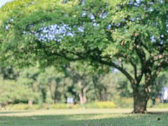 -中国科学院华南植物园