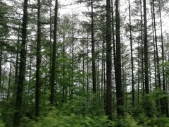-五女山景区