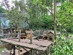 -继红顺河抄手名小吃