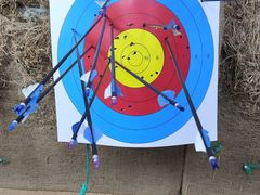 -道顺射箭·团建·骑射(张杨路店)