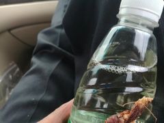 -韶山毛泽东同志故居