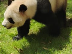 -杭州动物园