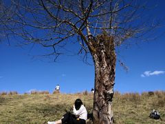 -硗碛藏寨·神木垒景区