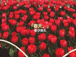 -玄武湖景区-情侣园游乐场