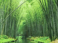 -同里国家湿地公园