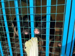 -小蜜蜂农场(凯德七宝购物广场店)