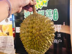 -都念榴莲·城市榴莲