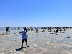 -北海金海湾红树林生态旅游区